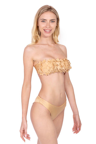Fascia di Stelle Bikini 